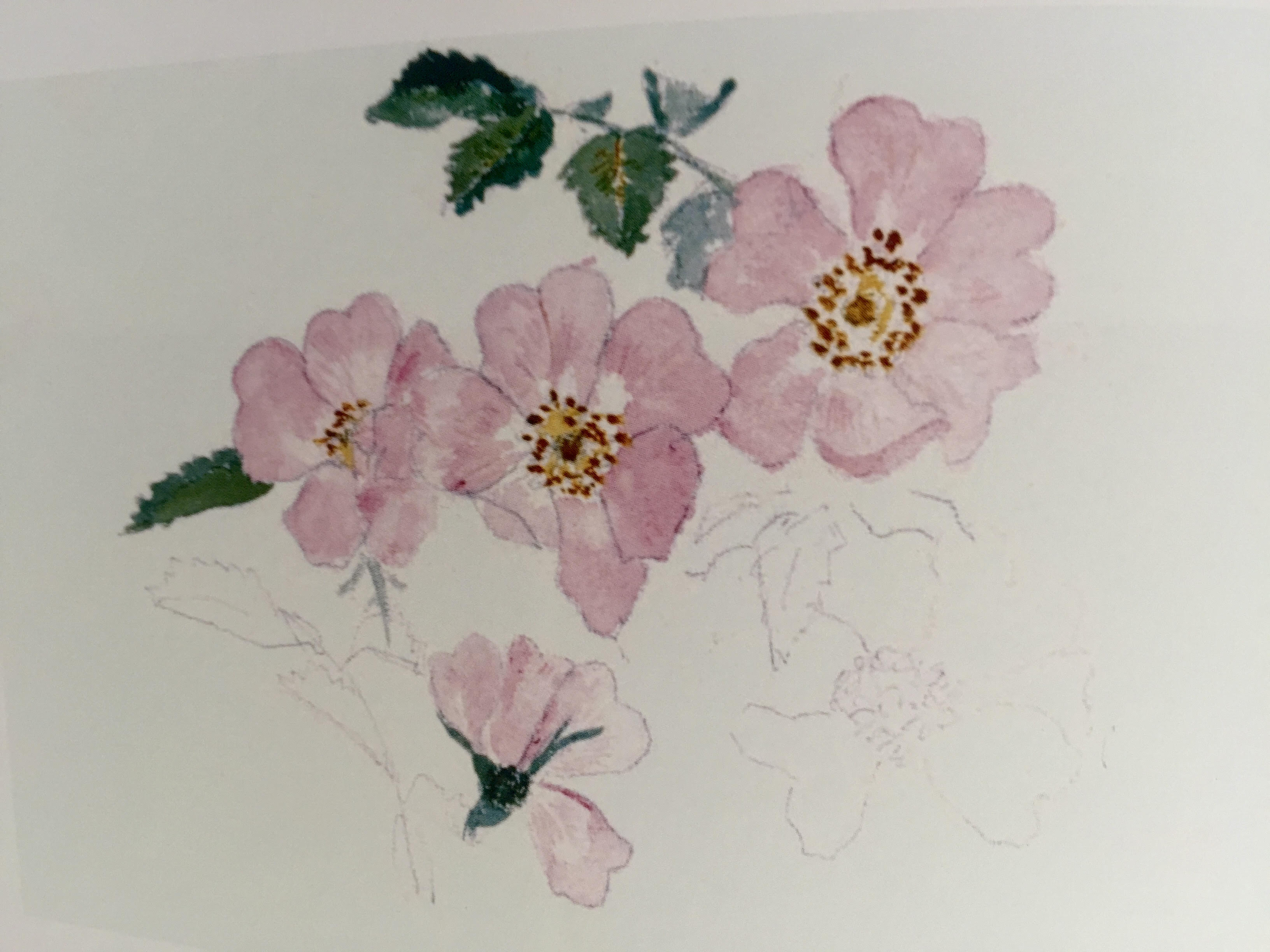 Blomsterakvarel
